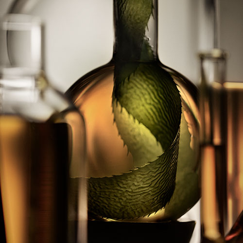 由内探索神奇活性精萃