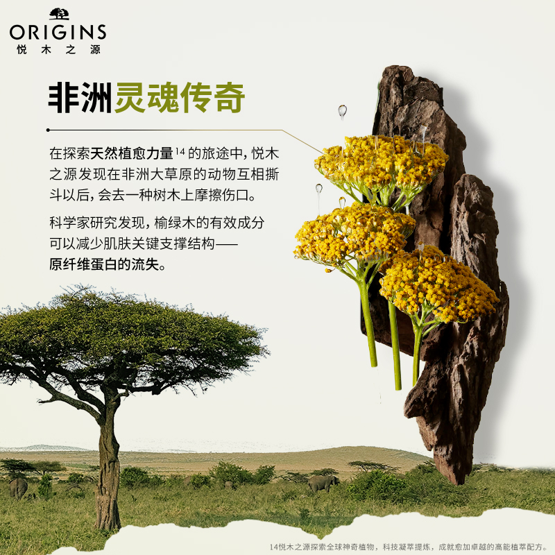 紧致淡纹